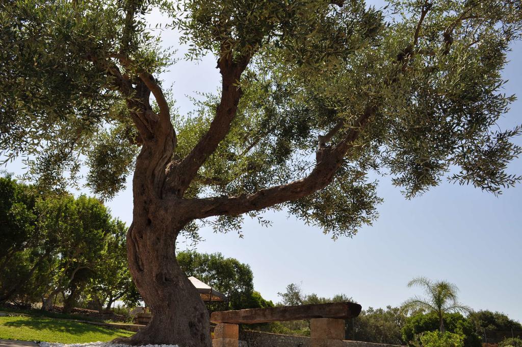 مبيت وإفطار مارينا دي بيسكولوس Contrada Borgin المظهر الخارجي الصورة